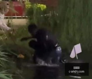 英雄联盟战,队官宣引援,粉丝期待实,博鱼平台,博鱼娱乐,博鱼网页版,在线娱乐,体育平台