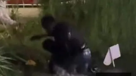 英雄联盟战队官，体育平台，宣引援，粉丝期待实力提升